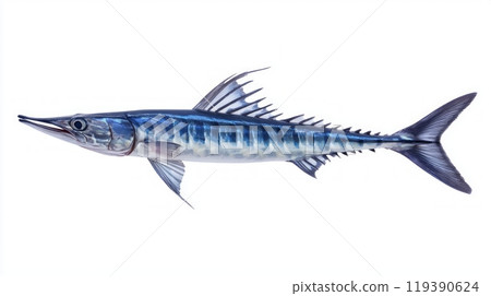 detailed representation highlights the unique morphology of a Wahoo a fast growing fish known for its streamlined body and sharp teeth with vibrant colors enhancing its appeal. detailed representation highlights the unique morphology of a Wahoo a fast growing fish known for its streamlined body and sharp teeth with vibrant colors enhancing its appeal. 119390624