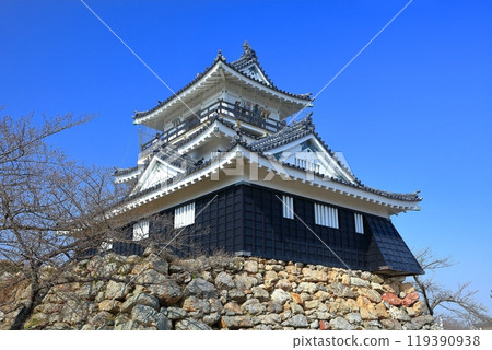 [Shizuoka Prefecture] Hamamatsu Castle on a clear day 119390938