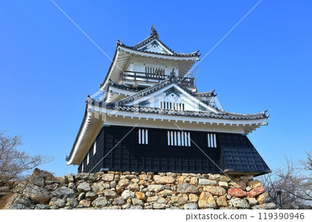 [Shizuoka Prefecture] Hamamatsu Castle on a clear day 119390946