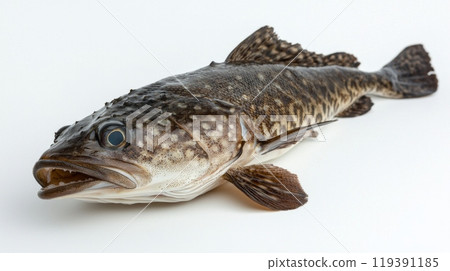 vivid representation of a sablefish showcasing its unique features like coloration and texture on a clean white backdrop. This fish is known for its culinary appeal. 119391185