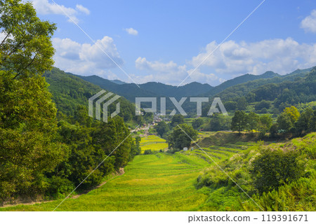 稻淵梯田之秋（奈良縣飛鳥村） 119391671