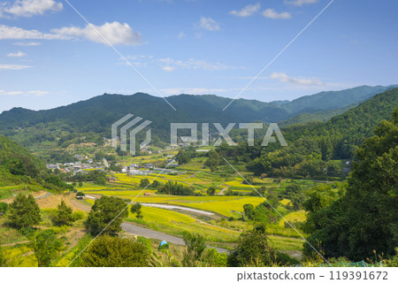稻淵梯田之秋（奈良縣飛鳥村） 119391672