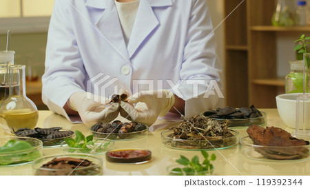 A researcher sit by laboratory table and split a soapberry, many glass petri dishes contain fresh ingredient placed on table. Template photo for advertisement, space for design A researcher sit by laboratory table and split a soapberry, many glass petri dishes contain fresh ingredient placed on table. Template photo for advertisement, space for design 119392344