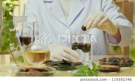 Front view photograph of shampoo experiment for advertisement, a scientist sit at lab table is doing an experiment with natural ingredient, put a soapberry into glass beaker Front view photograph of shampoo experiment for advertisement, a scientist sit at lab table is doing an experiment with natural ingredient, put a soapberry into glass beaker 119392346
