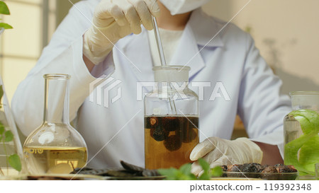 The scientist is using a glass rod to stir the soapberry solution contained in a cork bottle, surrounded by herbs such as honey locusts and soapberries scattered outside along with other solutions. The scientist is using a glass rod to stir the soapberry solution contained in a cork bottle, surrounded by herbs such as honey locusts and soapberries scattered outside along with other solutions. 119392348