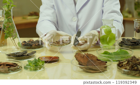 High angle shot at a yellow laboratory experiment table top, a scientist is showing a ingredient tray and a black locust in front. Template photo for advertising poster design, space for text High angle shot at a yellow laboratory experiment table top, a scientist is showing a ingredient tray and a black locust in front. Template photo for advertising poster design, space for text 119392349