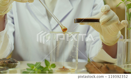 Close-up image of a scientist pouring shampoo samples from a petri dish into a glass beaker. On the table are dried and fresh herbs and soapberry fruits contained in petri dishes. Close-up image of a scientist pouring shampoo samples from a petri dish into a glass beaker. On the table are dried and fresh herbs and soapberry fruits contained in petri dishes. 119392352