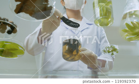 A female scientist holding a black locust, prepare to put into glass beaker on glass experiment table. The promotional photo for natural shampoo products, empty space for design A female scientist holding a black locust, prepare to put into glass beaker on glass experiment table. The promotional photo for natural shampoo products, empty space for design 119392370