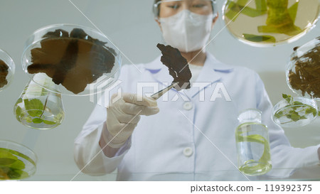 Organic shampoo advertising photo in modern laboratory, a scientist keep a slice of Fallopia Multiflora, glass petri dishes contain organic ingredient placed scattered on glass table Organic shampoo advertising photo in modern laboratory, a scientist keep a slice of Fallopia Multiflora, glass petri dishes contain organic ingredient placed scattered on glass table 119392375