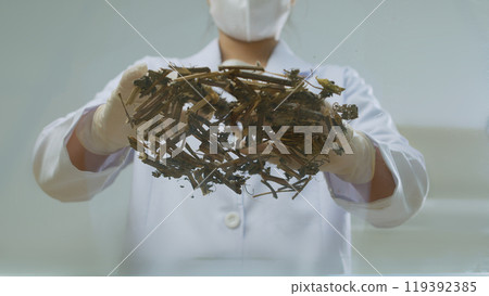 The promotional photo of natural shampoo study theme in laboratory, was shot from below view. The scientist spread Eleusine indica on glass table, blank space for text 119392385