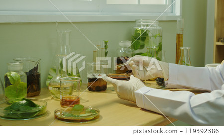 Shampoo science investigation with many natural ingredient, the scientist sit by wooden table by window, observing and analyzing brown essence in glass petri dish Shampoo science investigation with many natural ingredient, the scientist sit by wooden table by window, observing and analyzing brown essence in glass petri dish 119392386