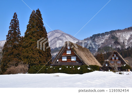 冬天的白川鄉 119392454