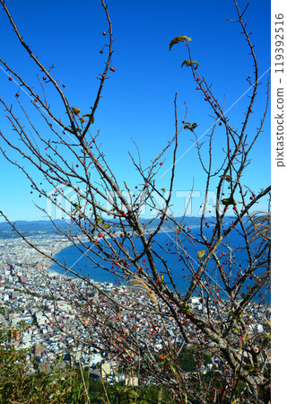 A beautiful view from Mt. Hakodate on a clear day 119392516