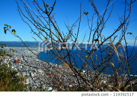 A beautiful view from Mt. Hakodate on a clear day 119392517