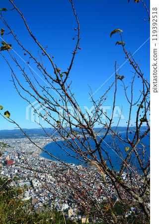 天氣晴朗時,函館山的壯麗景色 天氣晴朗時,函館山的壯麗景色 119392518