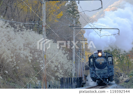 Chichibu Railway: Paleo Express C58363 steam locomotive running through the mountains with swaying Japanese pampas grass Chichibu Railway: Paleo Express C58363 steam locomotive running through the mountains with swaying Japanese pampas grass 119392544