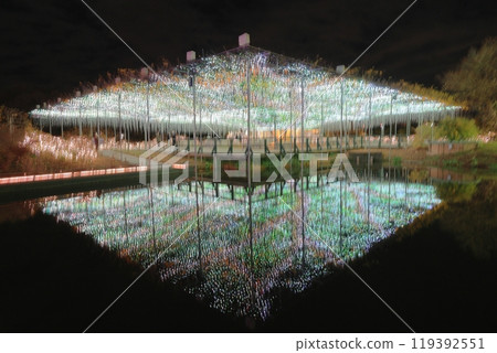 Ashikaga Flower Park: Illuminated wisteria at night 119392551
