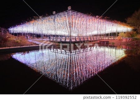 Ashikaga Flower Park, Illuminated Wisteria, Water Mirror 119392552