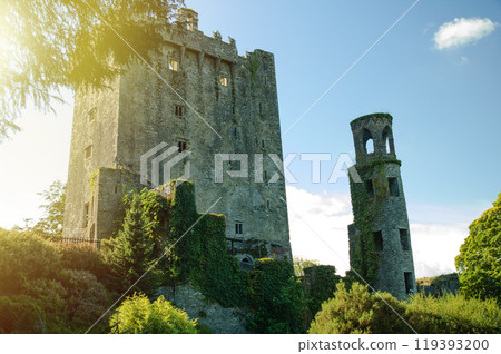 Ivy-Covered Medieval Castle and Tower in Cobh Ireland on a Sunny Day 119393200