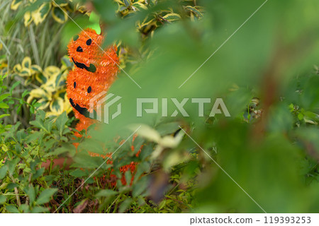 萬聖節活動圖片 萬聖節活動圖片 119393253