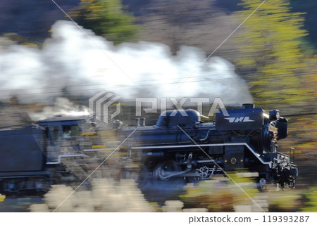 Paleo Express C58363 with JNR mark and Goto Diff fitted, running through autumn trees 119393287