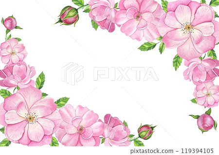 Frame with pink tea rose. Hand drawn watercolor illustration 119394105