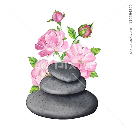Balancing gray stones with pink roses. Hand drawn watercolor illustration Balancing gray stones with pink roses. Hand drawn watercolor illustration 119394263