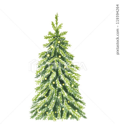 Hand drawn spruce tree. Watercolor illustration isolated on white background Hand drawn spruce tree. Watercolor illustration isolated on white background 119394264