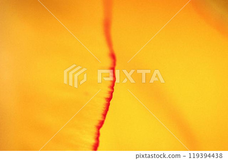 Abstract blurry background for covers and wallpapers Abstract blurry background for covers and wallpapers 119394438