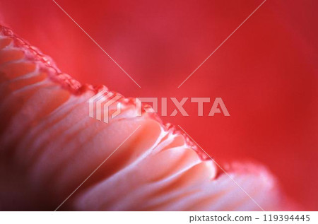 Abstract blurry background for covers and wallpapers 119394445