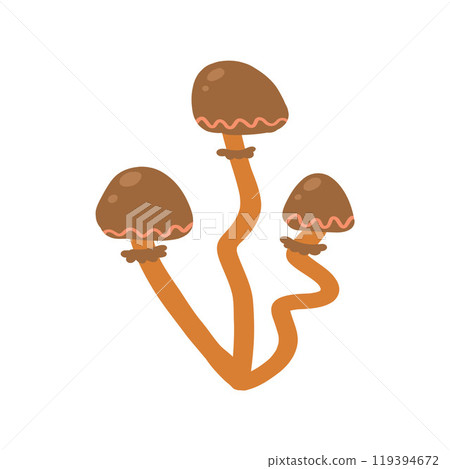 Brown wild mushrooms in a nature-inspired illustration. Perfect for autumnal designs, foraging guides, organic food themes, and forest-related projects Brown wild mushrooms in a nature-inspired illustration. Perfect for autumnal designs, foraging guides, organic food themes, and forest-related projects 119394672