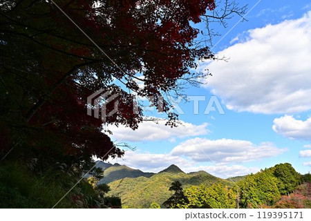 三田市蓮華寺 三田市蓮華寺 119395171