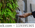 Female hands under a stream of water from a fountain. A fountain overgrown with plants. City fountain art. 119395365