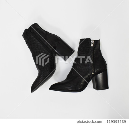 Black chunky heels boots isolated on white, reptile leather ankle boots for women, basic snake skin fall boots Black chunky heels boots isolated on white, reptile leather ankle boots for women, basic snake skin fall boots 119395389