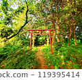 Torii covered with fresh greenery 119395414