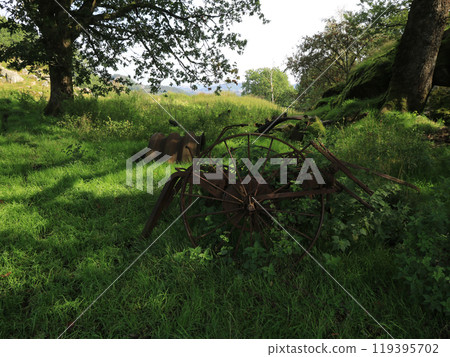 Overgrown old iron scrap wheel in a forest near Egersund, Norway. 119395702