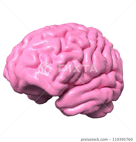 The brain  for sci or education concept 3d rendering. 119395760