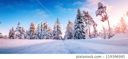 Beautiful snowy road in natural park after snowfall. Beautiful snowy road in natural park after snowfall. 119396995