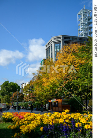 Odori Park and autumn leaves_3271 Odori Park and autumn leaves_3271 119397987