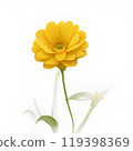 yellow gerbera flower isolated on white background 119398369