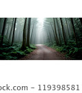 background with forest and fog 119398581