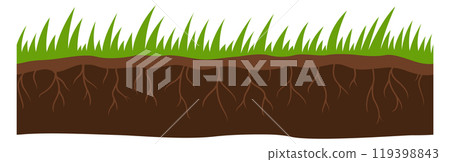 A close up of a grassy area with roots visible 119398843