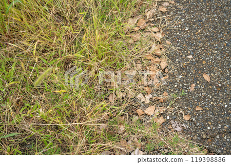 Weeds and green grass, before and after weeding 119398886