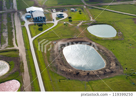 Water pond on cattle grazing in pasture field. Drinking source for milk cows on green farm grassland in Florida Water pond on cattle grazing in pasture field. Drinking source for milk cows on green farm grassland in Florida 119399250
