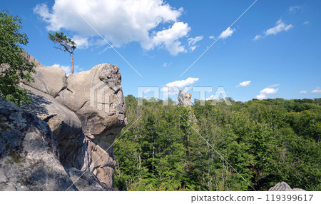Huge rocky boulder formations high in mountains with growing trees on summer sunny day Huge rocky boulder formations high in mountains with growing trees on summer sunny day 119399617