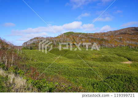 大谷地（新雪谷/新仙沼自然休養林） 119399721