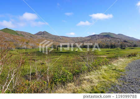 大谷地（新雪谷/新仙沼自然休養林） 119399788