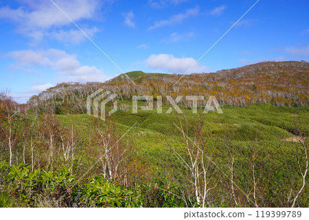 Oyachi (Niseko Shinsen-numa Natural Recreation Forest) 119399789