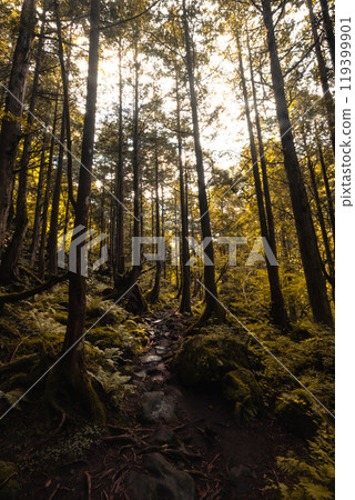 Tateshina Otaki Falls in Japan 119399901