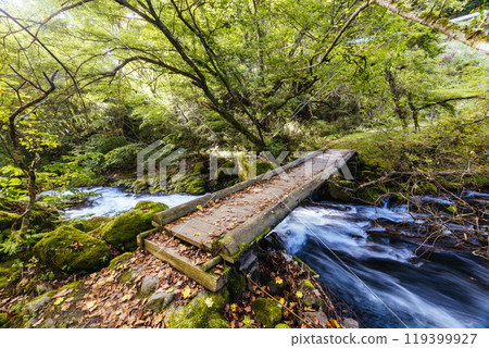 Tateshina Otaki Falls in Japan 119399927